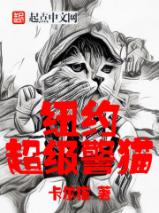 纽约超级警猫