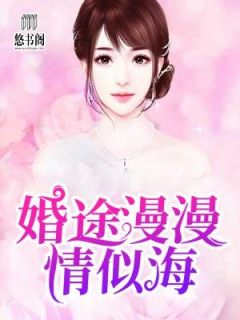 小说《婚途漫漫情似海》