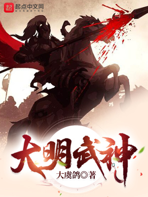 大明武神小说