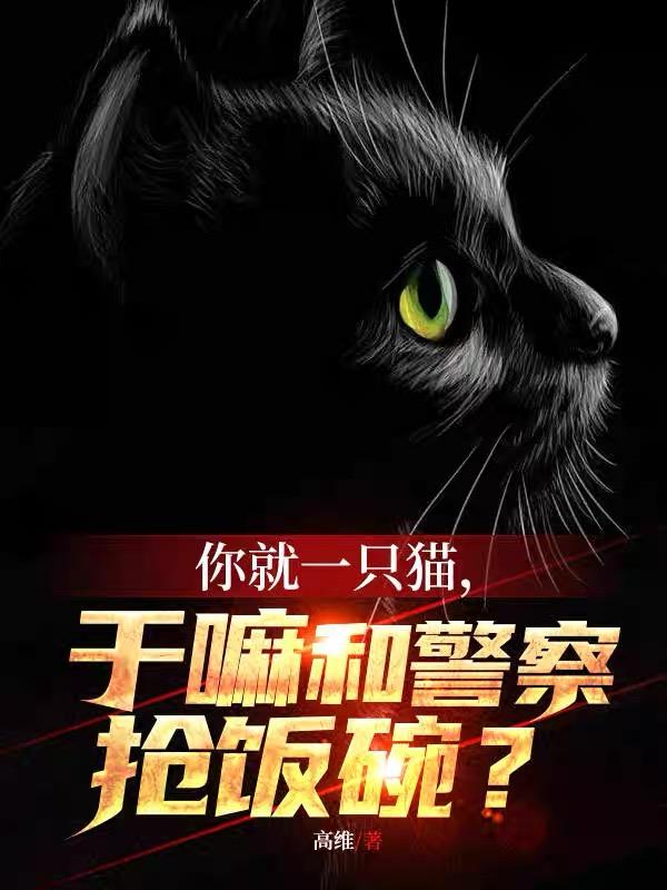 你就一只猫，干嘛和警察抢饭碗？