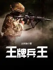 王牌兵王小说