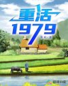 重活1979小说