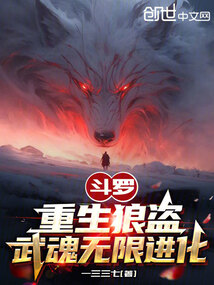 武魂无限进化(别名:极限狼盗)