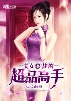 美女总裁之超品高手下载