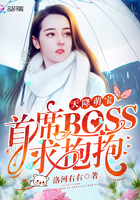 天降萌宝：首席BOSS求抱抱