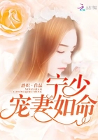 宠婚蜜爱;宁先生